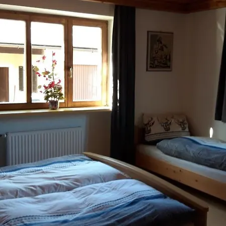 Apartment Haus Elisabeth Reiter